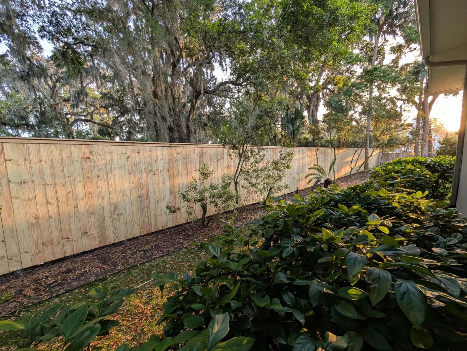 Florida Wood Board On Board Privacy Fence With Top Cap Trim