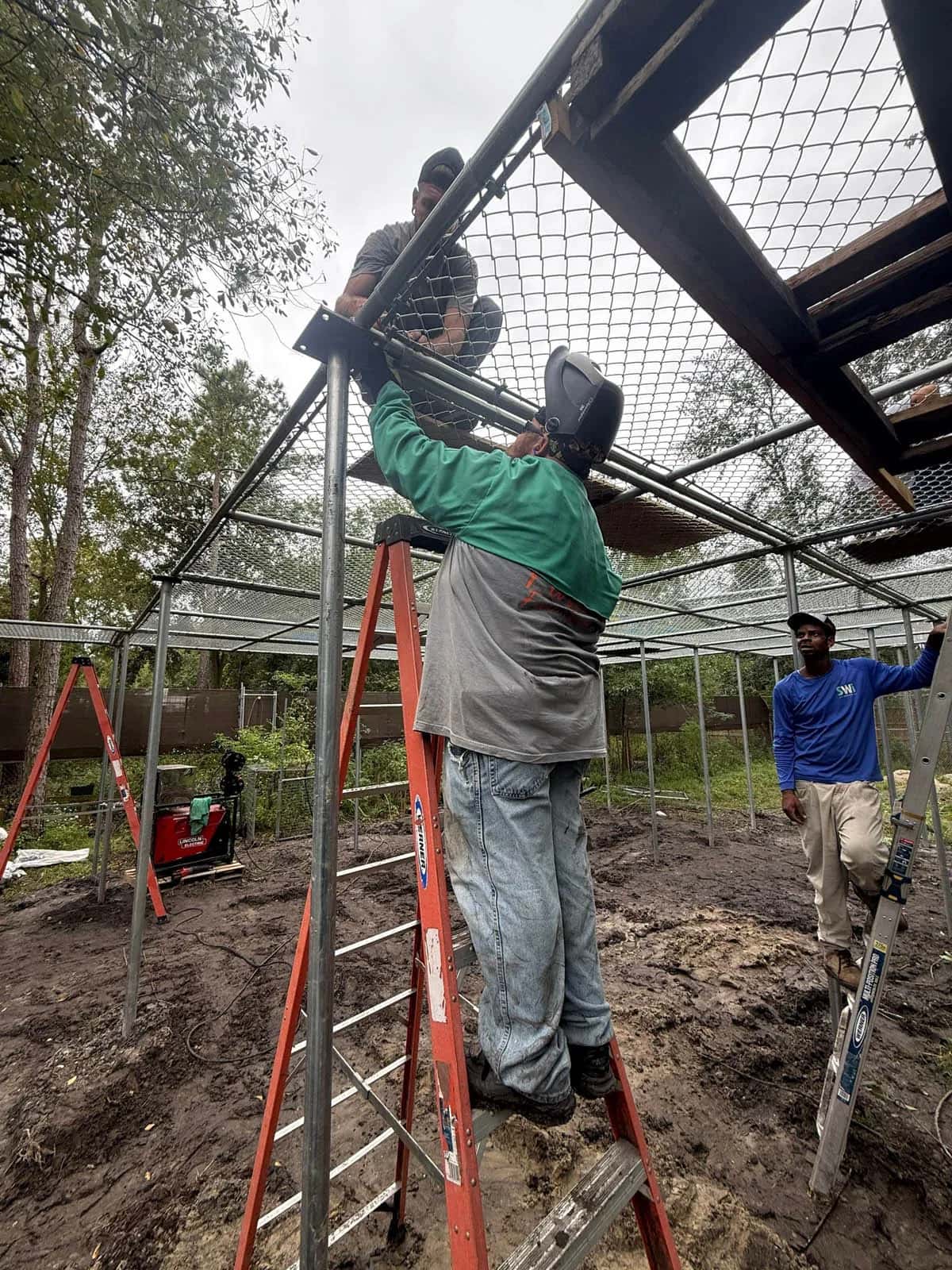 Swi Fence Florida Crew Building Chain Link Cage 7