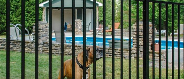 St. Augustine, Florida Residential Aluminum Pet Fence