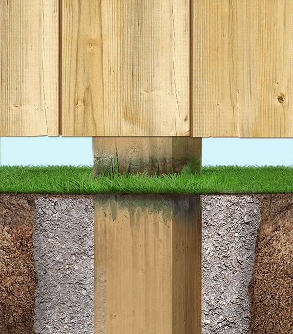wood-zoom-ground-level